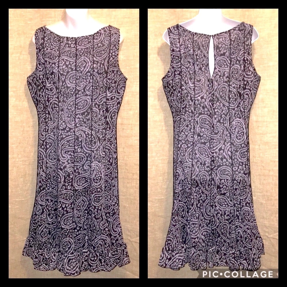 ⭐️3 for $29 EUC Sandra Darren Sleeveless Sheer Dress - Picture 2 of 13